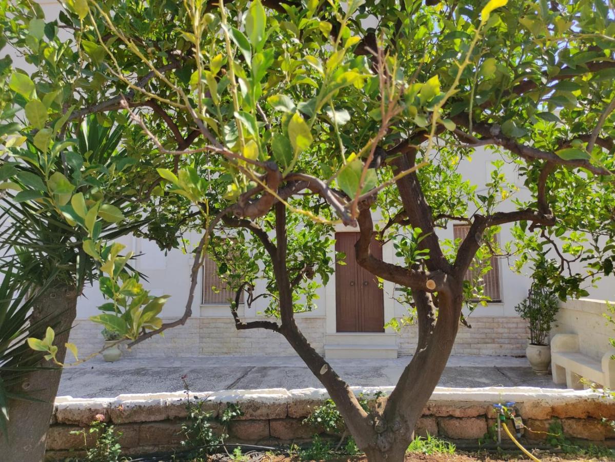 Residenza "I Tre Carrubi " Villa ฟาซาโน ภายนอก รูปภาพ