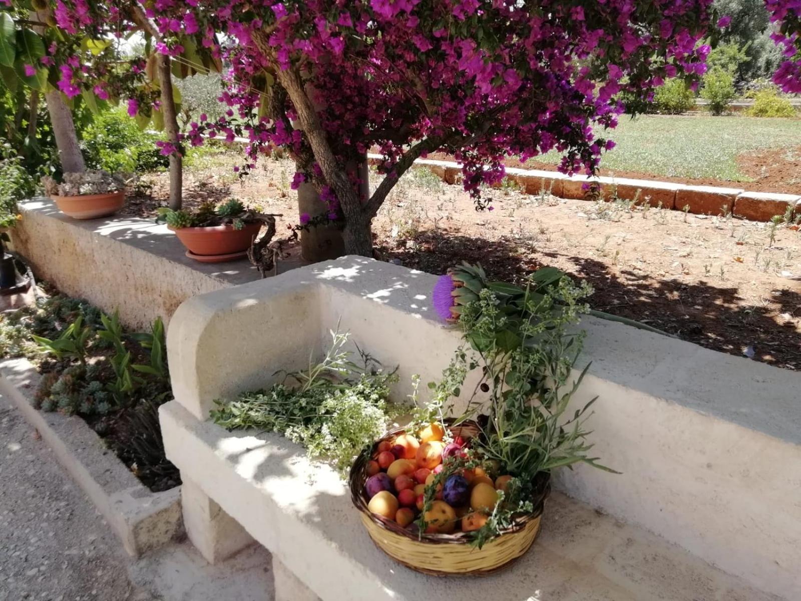 Residenza "I Tre Carrubi " Villa ฟาซาโน ภายนอก รูปภาพ