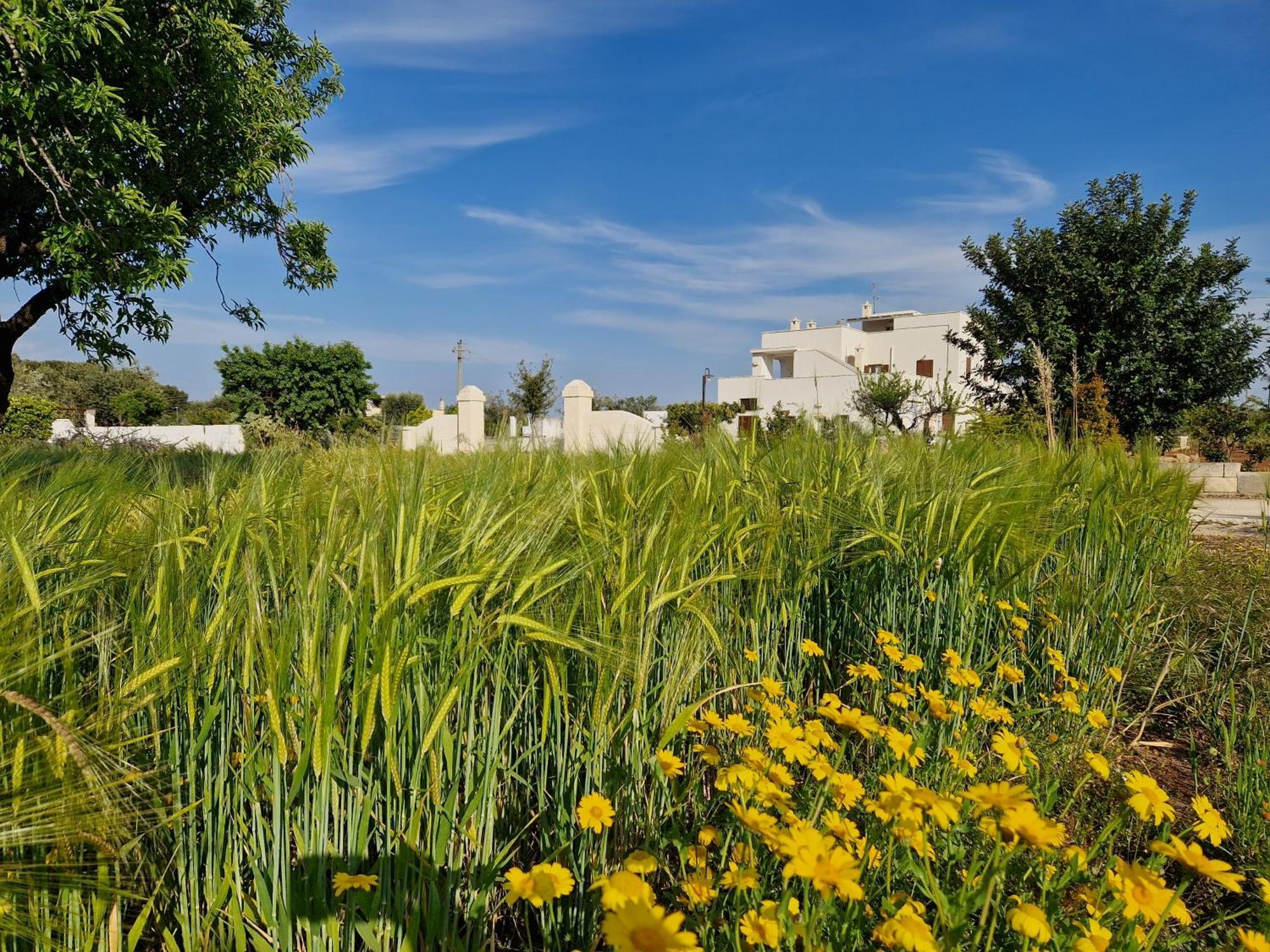Residenza "I Tre Carrubi " Villa ฟาซาโน ภายนอก รูปภาพ